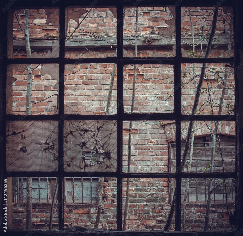 with a lattice window with a lattice window