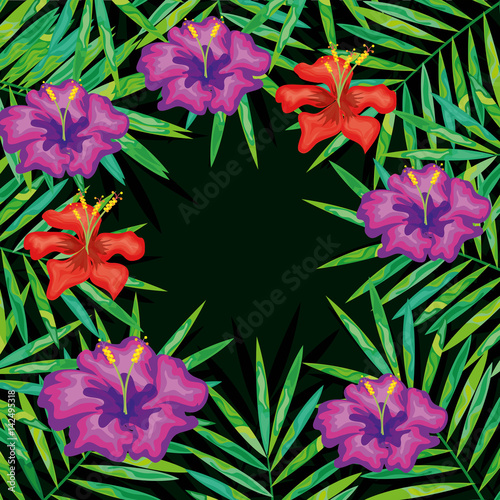 Fototapeta Naklejka Na Ścianę i Meble -  tropical flowers decorative card vector illustration design