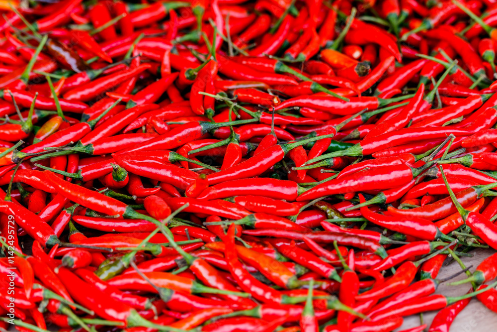 Red chillies background. Pile. Whole background of red chillies. Full of details.