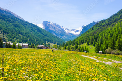Dirt country road crossing flowery meadows, mountains and forest in scenic alpine landscape and moody sky. Summer adventure and roadtrip at Ceillac village in Queyras Regional Park, French Alps. © fabio lamanna