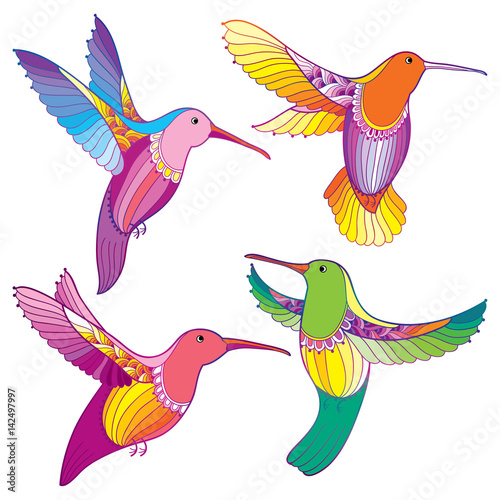 Vector set with flying colorful Hummingbird or Colibri in contour style isolated on white background. Outline small tropical bird with ornate wings for summer and exotic design. 