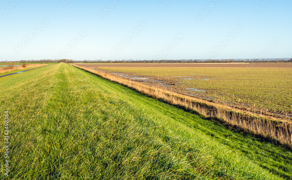 Seemingly endless dike covered with green grass in a agricultural Dutch landscape