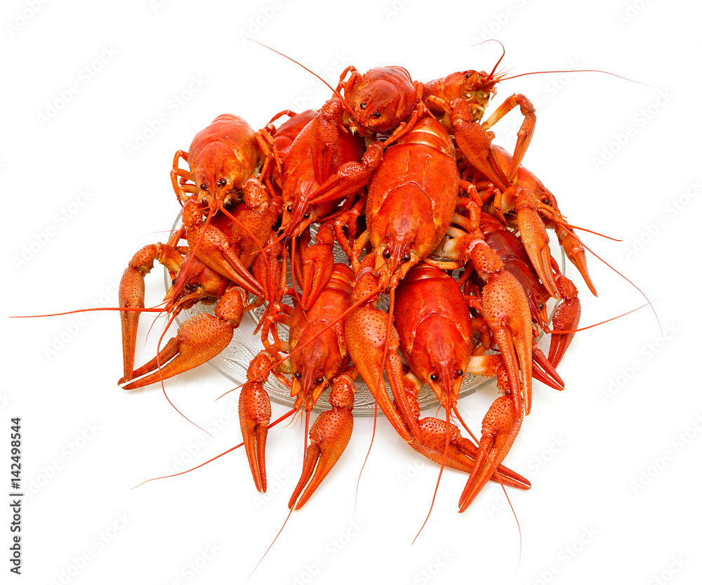 Boiled crayfish close-up on a white background. Boiled crayfish close-up on a white background.
