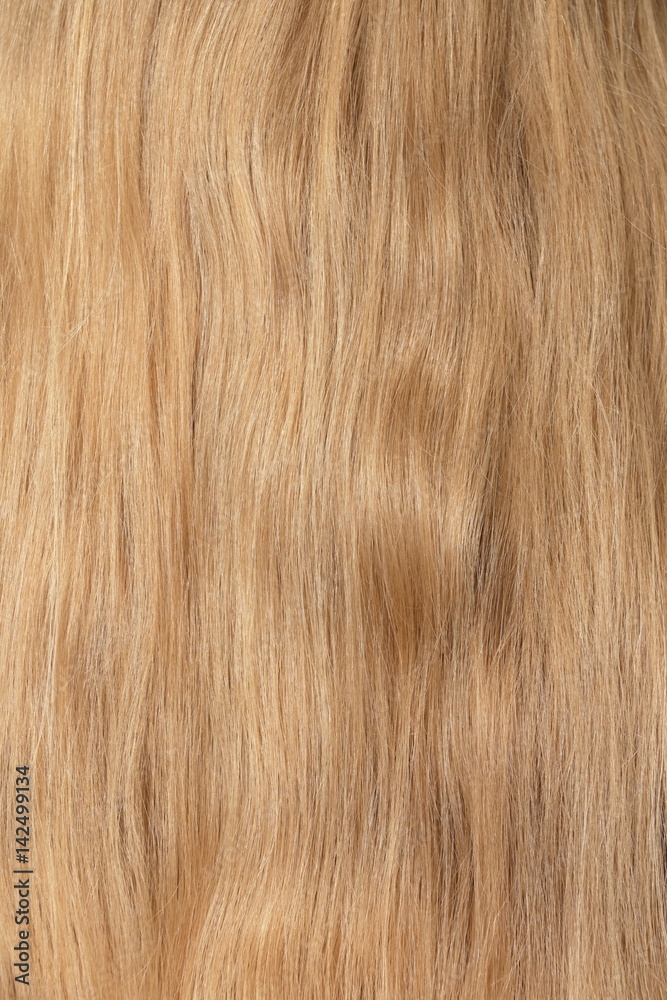 Female natural blond hair close-up Female natural blond hair close-up