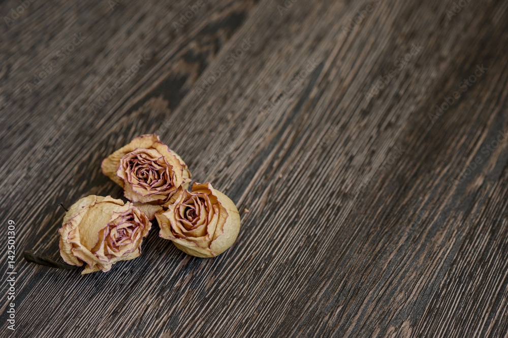 dry rose buds on a dark wooden background dry rose buds on a dark wooden background