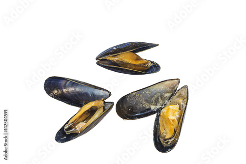fried mussels isolated on a white with selective focus