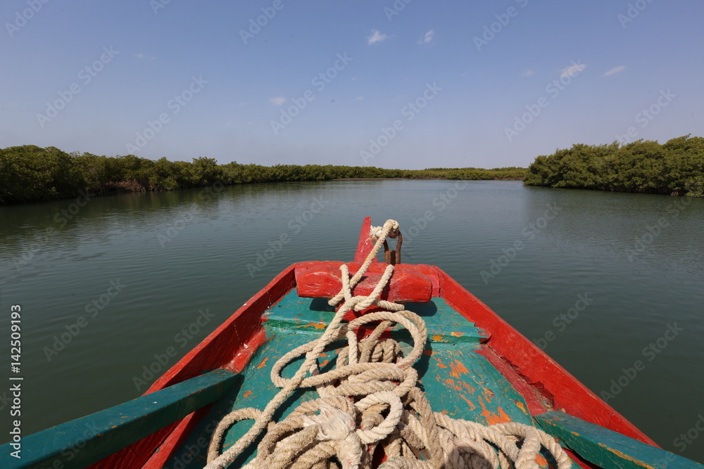 Obraz premium gambie gambia mangrove bateau boat