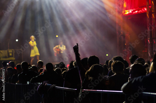 Wallpaper Mural crowd at concert - summer music festival Torontodigital.ca