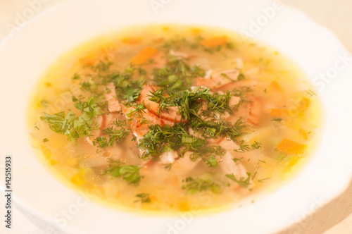 Soup with meat and cropped dill and parsley