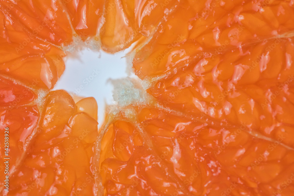 citrus fruit . Grapefruit citrus fruit . Grapefruit