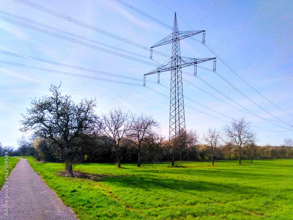 Obraz premium Strommast auf Feld