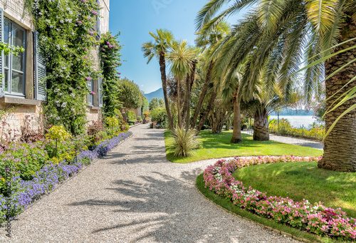 Park garden of Island Madre - Isola Madre, is one of the Borromean Islands of lake Maggiore in Piedmont of north Italy photo
