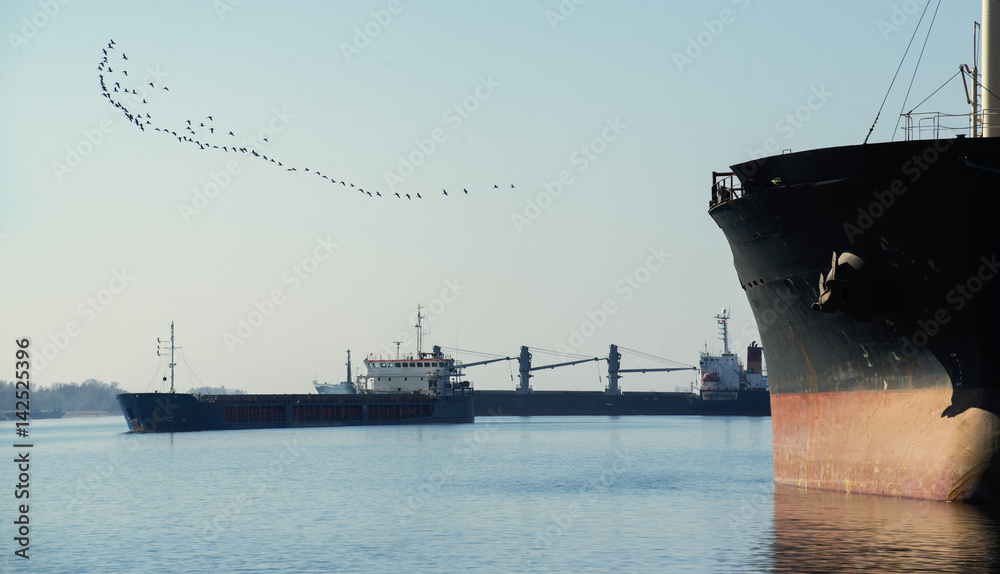 A flock of birds flies over the sea water area A flock of birds flies over the sea water area