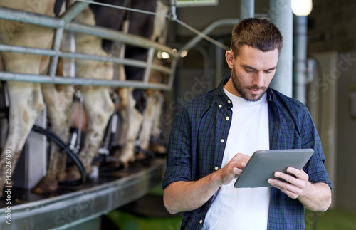 young man with tablet pc and cows on dairy farm photo