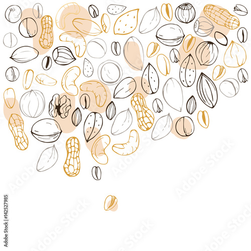 Background with nuts. Vector illustration.