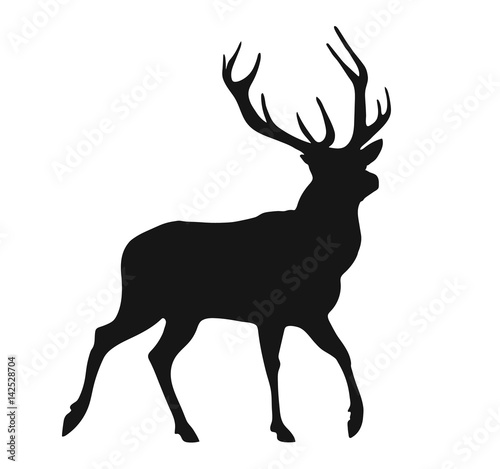 silhouette of the buck
