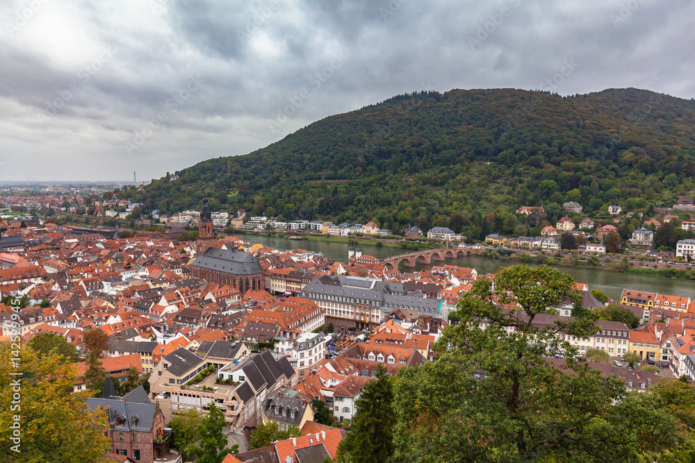 Aerial view of the Heidelberg old town