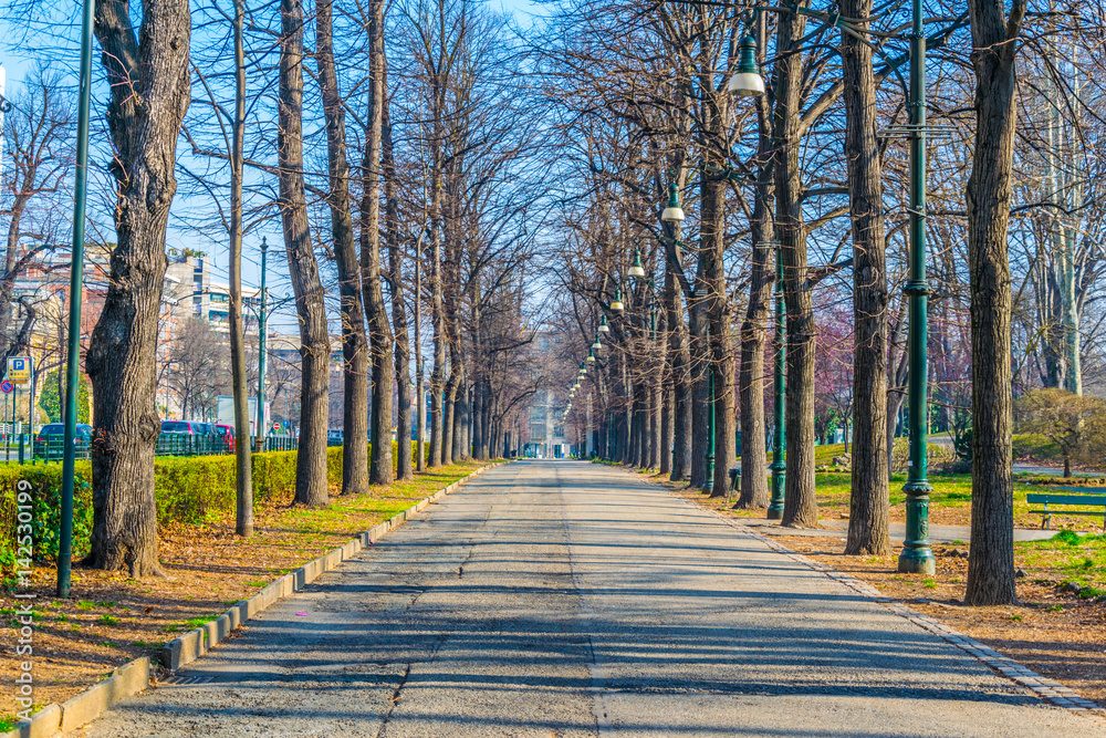Ταπετσαρία view of a promenade leading through the parco del valentino in the italian city