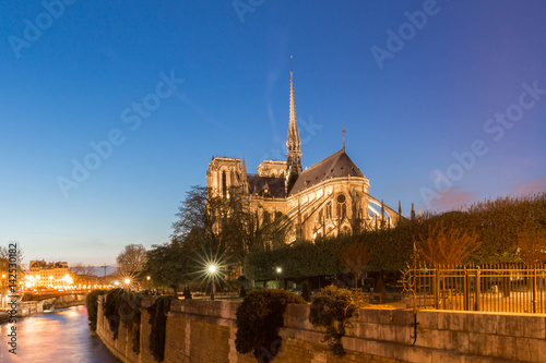 Notre Dame cathedral in evening  Paris.