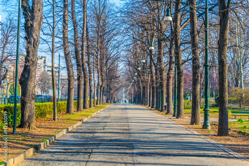 view of a promenade leading through the parco del valentino in the italian city torino