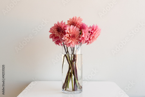 Bright pink dahlias in tall glass vase on white table against neutral background