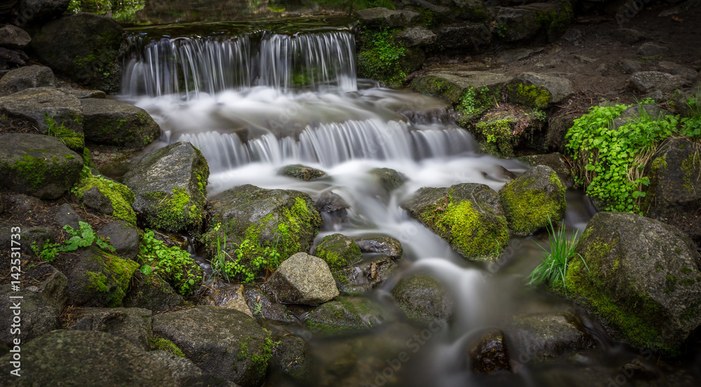 Fern Spring