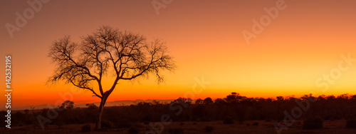 Sunset Panorama