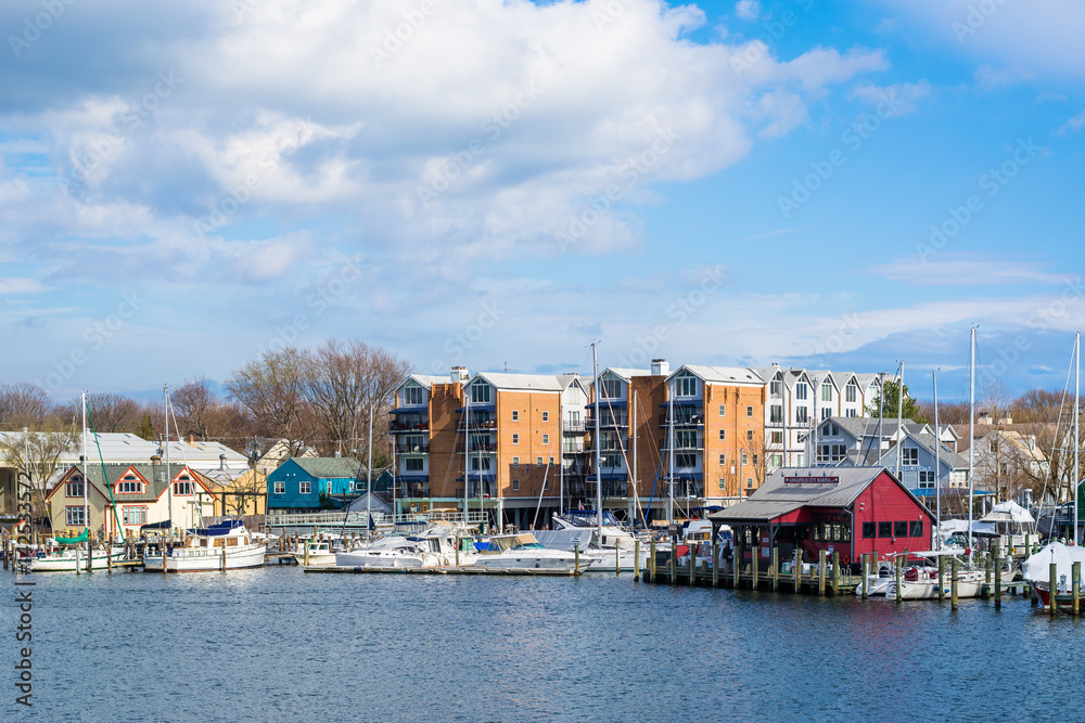 Buildings and marinas along Spa Creek, in Annapolis, Maryland.