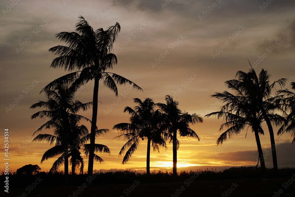 Palm trees at sunset. Saipan, CNMI