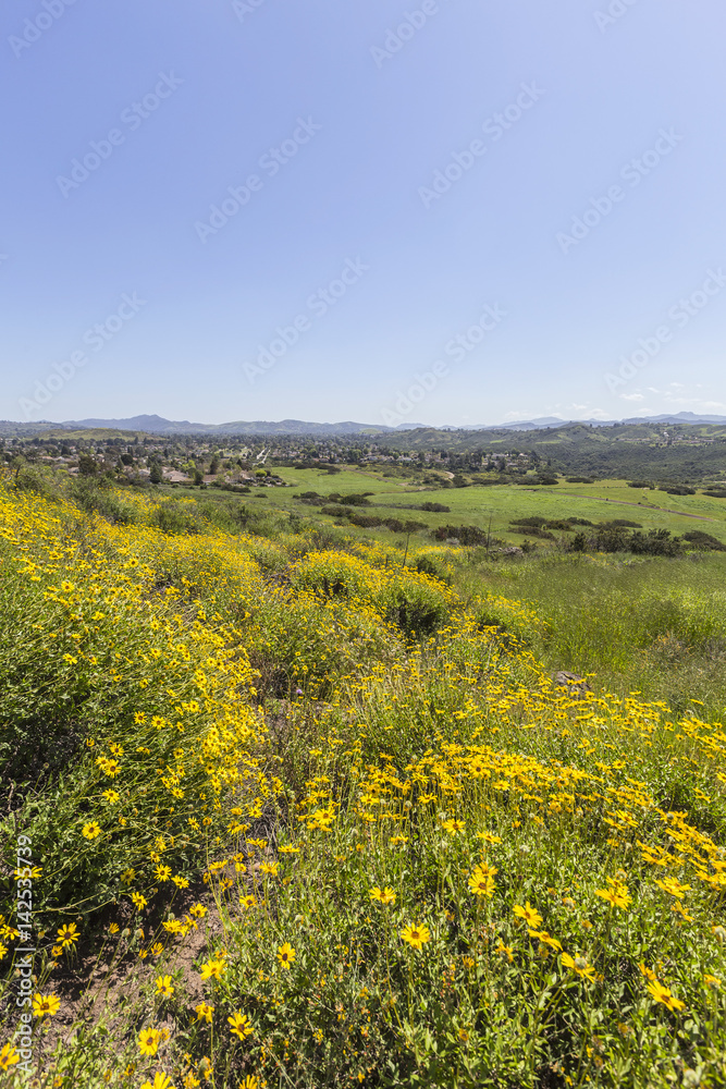 Spring meadow in Wildwood Regional Park in the Thousand Oaks community of Ventura County, California.