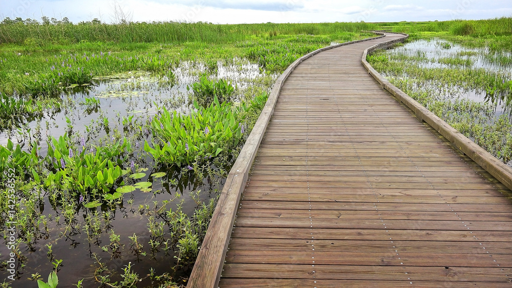 Boardwalk curves through a marsh and wetlands along Pintail Wildlife Drive at Cameron Prairie National Wildlife Refuge in Louisiana