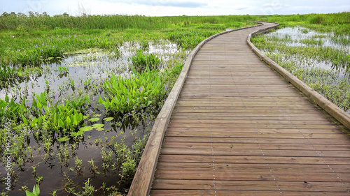 Obraz na płótnie Boardwalk curves through a marsh and wetlands along Pintail Wildlife Drive at Cameron Prairie National Wildlife Refuge in Louisiana w salonie