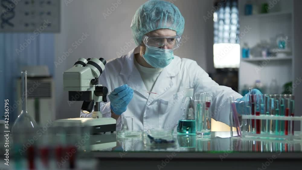 Scientists studying dna branches for additional information in cloning process Scientists studying dna branches for additional information in cloning process