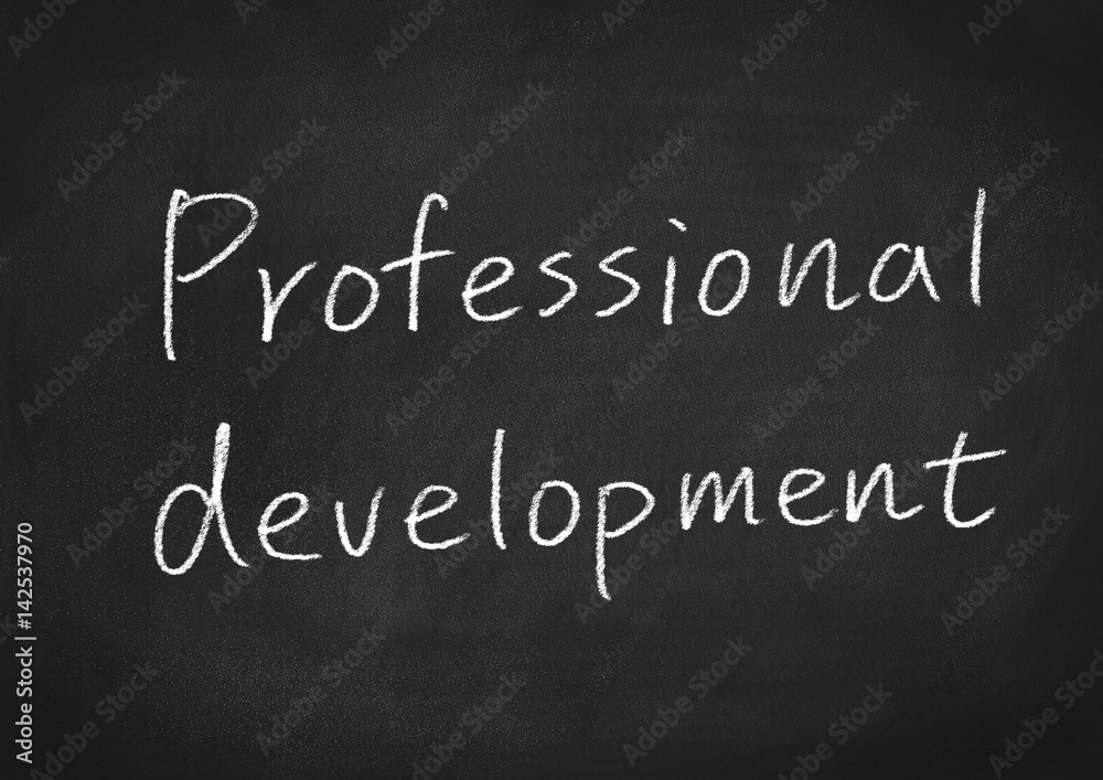 professional development professional development