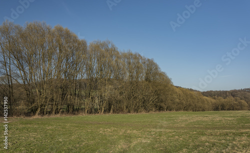 Meadow near Slavosov village