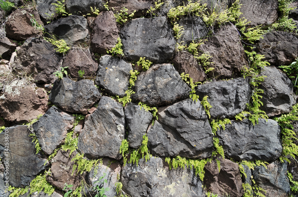 Wall made of stones with green plants inbetween Wall made of stones with green plants inbetween