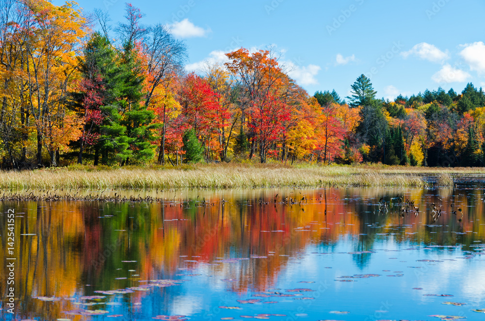 Fototapeta premium Sunrise above forest lake