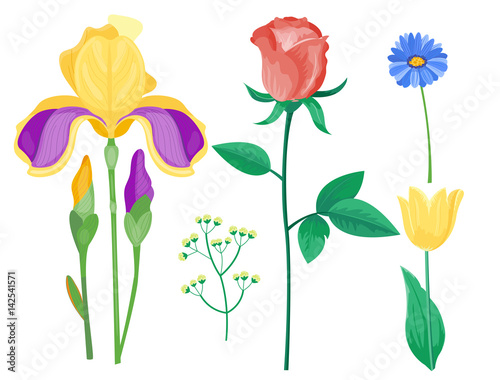 Cartoon petal vintage floral vector bouquet garden flower botanical natural p...