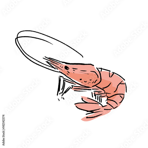 えび　イラスト
