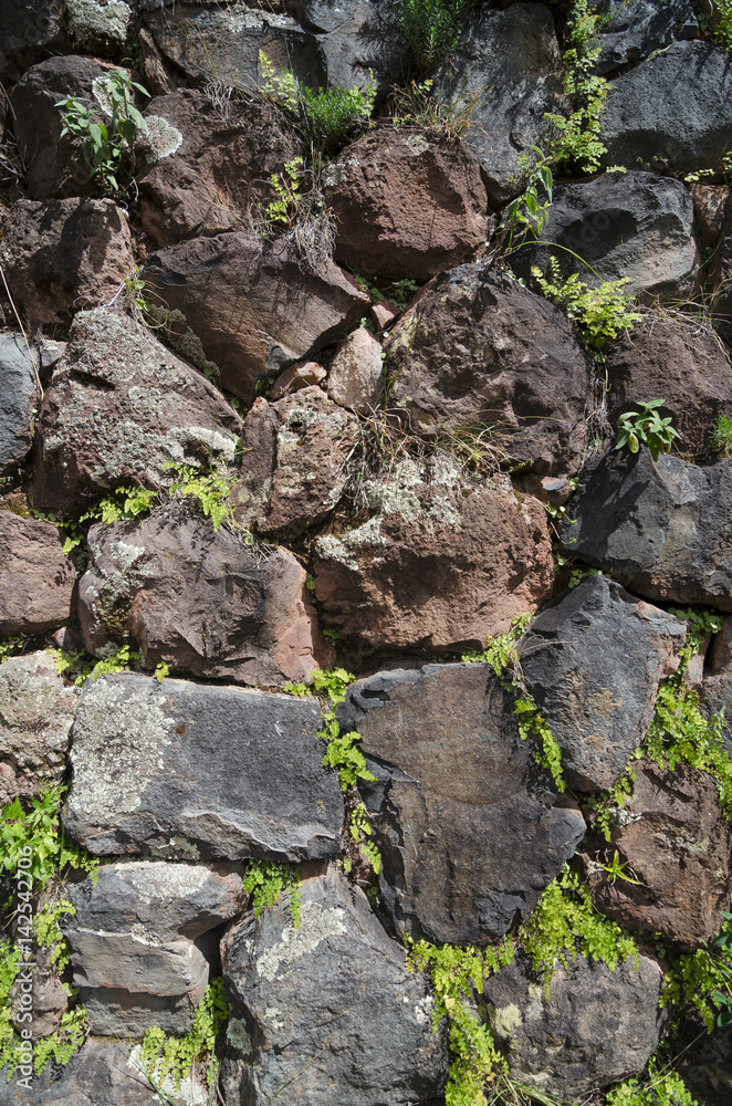 Wall made of stone with plants growing inbetween