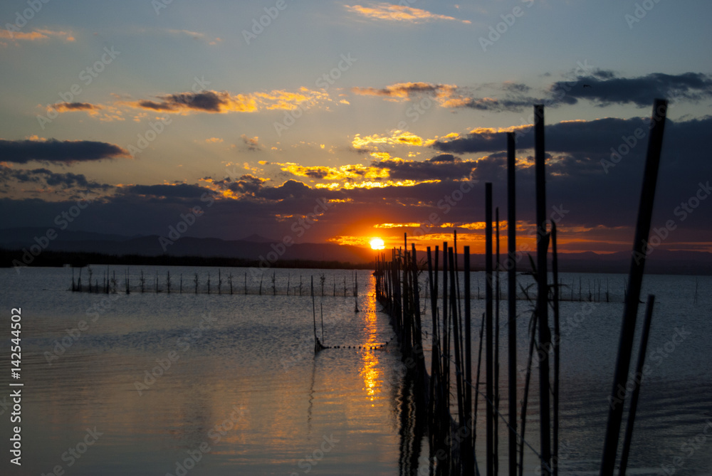 L'Albufera