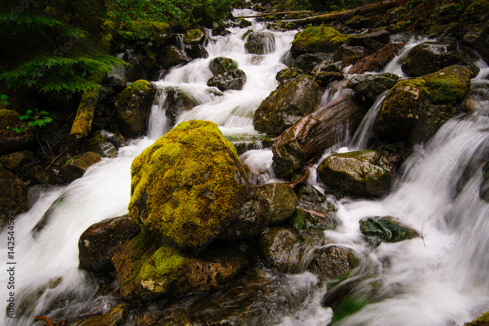 Change Creek, King County, Washington, 2014