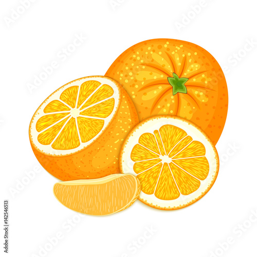 Vector composition of a citrus orange fruits on white background. Mandarin whole and cut . Group of tasty ripe tropical orange fruit, designer elements for packaging juice breakfast health food, tea