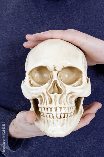 Human skull in human hands