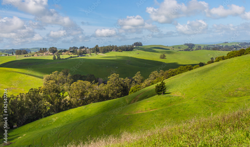 Fototapeta premium Petaluma Hills