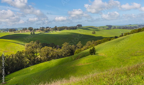 Petaluma Hills
