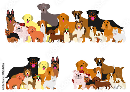 dogs group border set