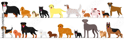 standing dogs border set