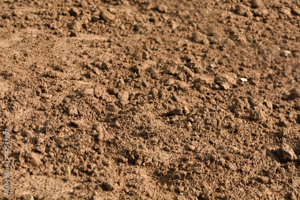 sand texture sand texture