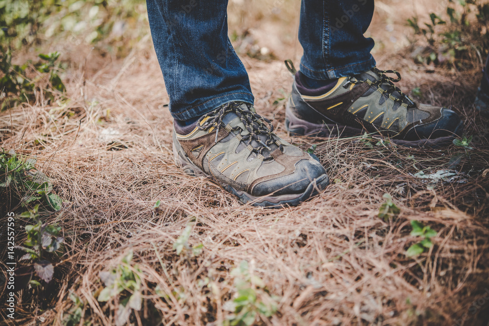 Hikers boots in the forest. Hikers boots in the forest.